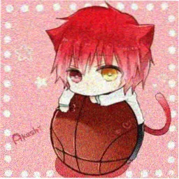 夜猫影院读者头像：末班车票根与书签